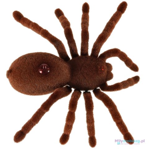 Pająk TARANTULA Zdalnie Sterowany robot na pilota + PILOT Pająk TARANTULA Zdalnie Sterowany robot na pilota + PILOT