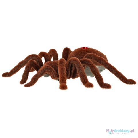Pająk TARANTULA Zdalnie Sterowany robot na pilota + PILOT Pająk TARANTULA Zdalnie Sterowany robot na pilota + PILOT