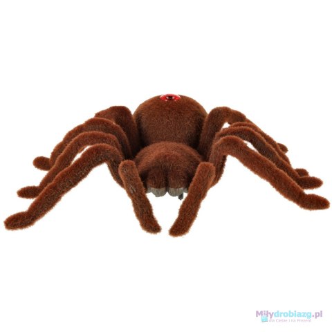 Pająk TARANTULA Zdalnie Sterowany robot na pilota + PILOT Pająk TARANTULA Zdalnie Sterowany robot na pilota + PILOT